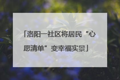 洛阳一社区将居民“心愿清单”变幸福实景