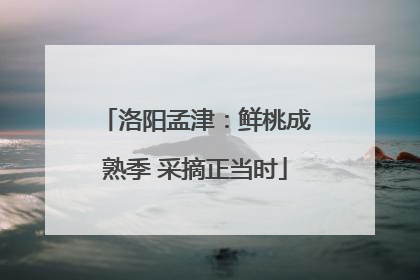 洛阳孟津：鲜桃成熟季 采摘正当时