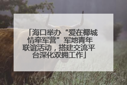 海口举办“爱在椰城 情牵军营”军地青年联谊活动，搭建交流平台深化双拥工作