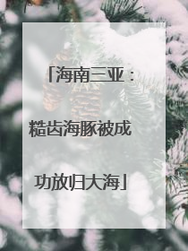海南三亚：糙齿海豚被成功放归大海