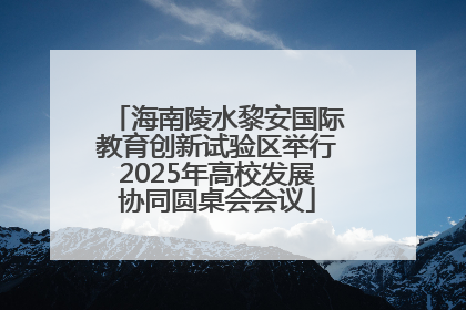 海南陵水黎安国际教育创新试验区举行2025年高校发展协同圆桌会会议