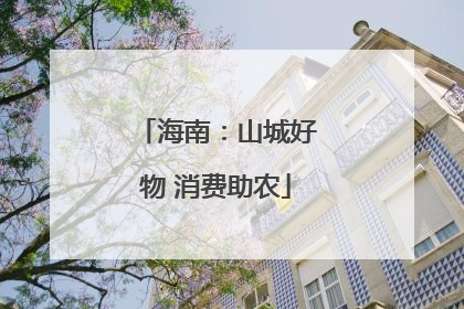 海南：山城好物 消费助农