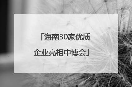 海南30家优质企业亮相中博会