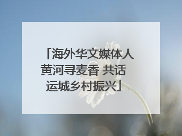 海外华文媒体人黄河寻麦香 共话运城乡村振兴