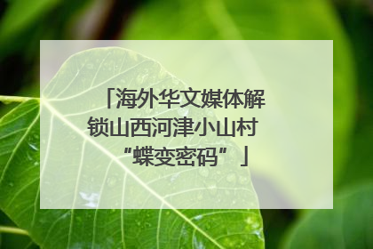 海外华文媒体解锁山西河津小山村“蝶变密码”