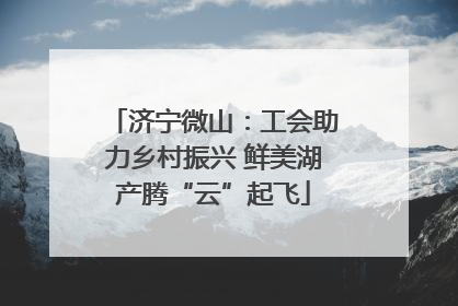 济宁微山：工会助力乡村振兴 鲜美湖产腾“云”起飞