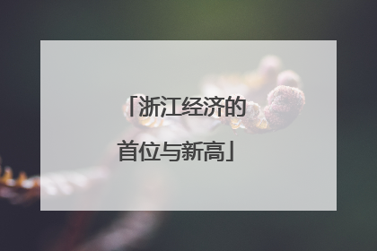 浙江经济的首位与新高