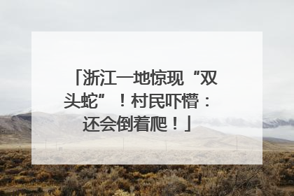 浙江一地惊现“双头蛇”！村民吓懵：还会倒着爬！