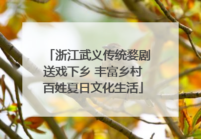 浙江武义传统婺剧送戏下乡 丰富乡村百姓夏日文化生活