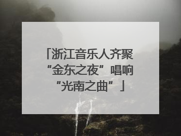 浙江音乐人齐聚“金东之夜”唱响“光南之曲”