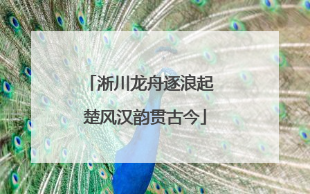 淅川龙舟逐浪起 楚风汉韵贯古今