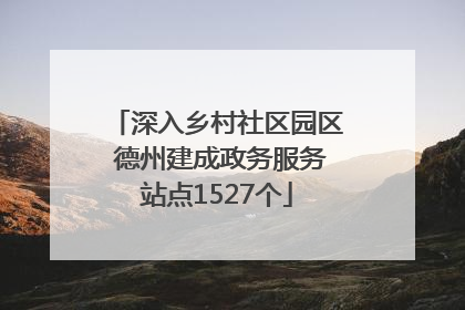 深入乡村社区园区 德州建成政务服务站点1527个