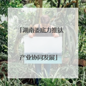 湖南娄底力推钛产业协同发展