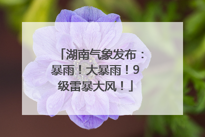 湖南气象发布：暴雨！大暴雨！9级雷暴大风！