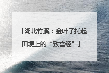 湖北竹溪：金叶子托起田埂上的“致富经”
