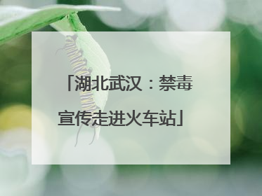 湖北武汉：禁毒宣传走进火车站