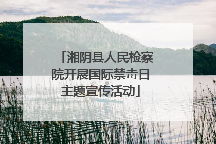 湘阴县人民检察院开展国际禁毒日主题宣传活动