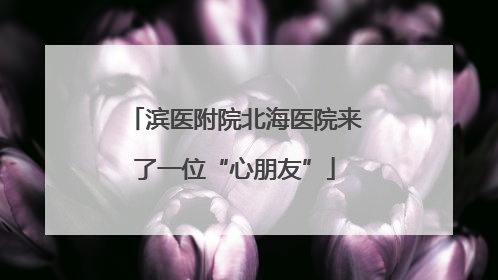 滨医附院北海医院来了一位“心朋友”