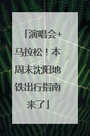 演唱会+马拉松！本周末沈阳地铁出行指南来了