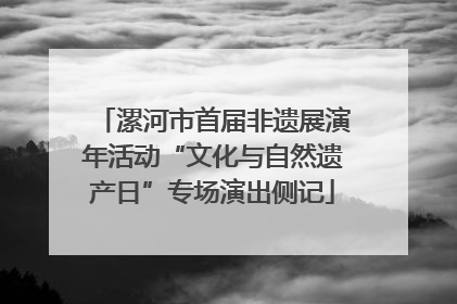 漯河市首届非遗展演年活动“文化与自然遗产日”专场演出侧记