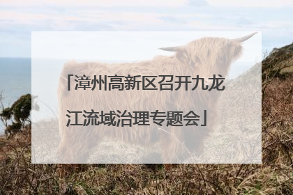漳州高新区召开九龙江流域治理专题会
