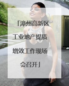 漳州高新区工业地产提质增效工作现场会召开