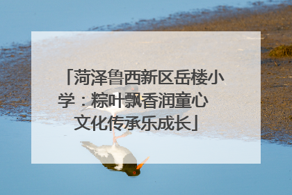 菏泽鲁西新区岳楼小学：粽叶飘香润童心 文化传承乐成长