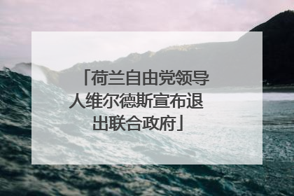 荷兰自由党领导人维尔德斯宣布退出联合政府