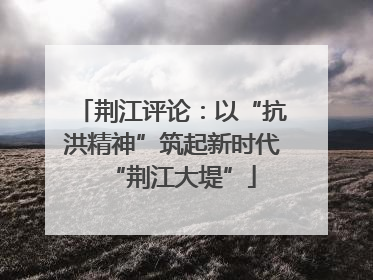 荆江评论：以“抗洪精神”筑起新时代“荆江大堤”