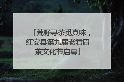 荒野寻茶觅真味，红安县第九届老君眉茶文化节启幕