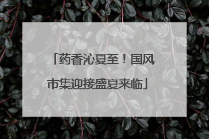 药香沁夏至！国风市集迎接盛夏来临