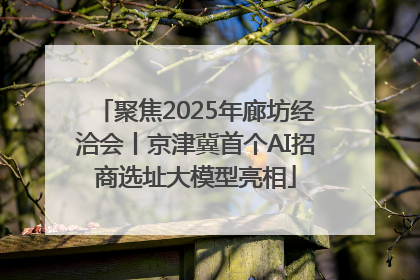 聚焦2025年廊坊经洽会丨京津冀首个AI招商选址大模型亮相