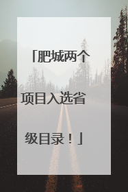 肥城两个项目入选省级目录！