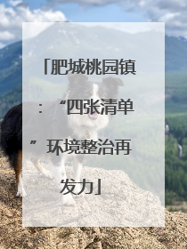 肥城桃园镇：“四张清单”环境整治再发力