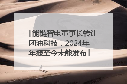 能链智电董事长转让团油科技，2024年年报至今未能发布