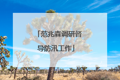 范兆森调研督导防汛工作