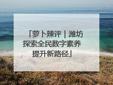 萝卜辣评｜潍坊探索全民数字素养提升新路径