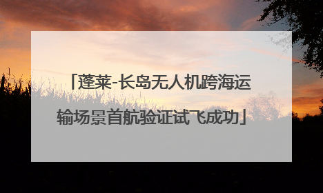 蓬莱-长岛无人机跨海运输场景首航验证试飞成功