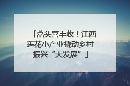 藠头喜丰收！江西莲花小产业撬动乡村振兴“大发展”