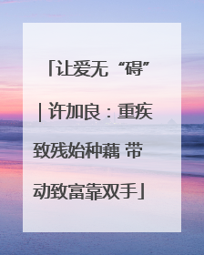 让爱无“碍”｜许加良：重疾致残始种藕 带动致富靠双手