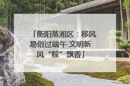 衡阳蒸湘区：移风易俗过端午 文明新风“粽”飘香