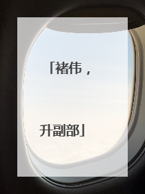 褚伟，升副部