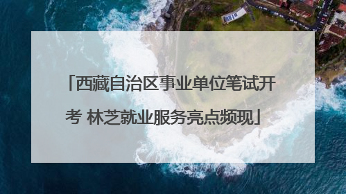 西藏自治区事业单位笔试开考 林芝就业服务亮点频现