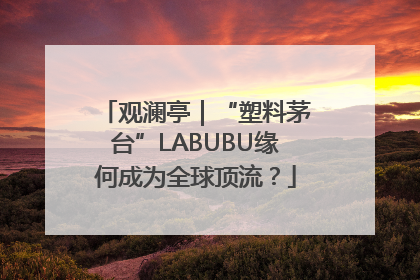观澜亭｜“塑料茅台”LABUBU缘何成为全球顶流？