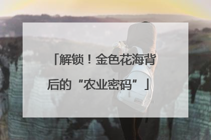 解锁！金色花海背后的“农业密码”