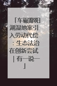 车碾鄱阳湖湿地案引入劳动代偿：生态法治在创新尝试｜有一说一