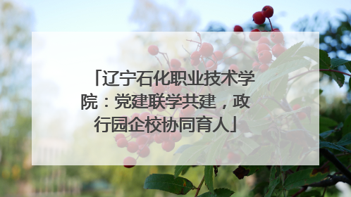辽宁石化职业技术学院：党建联学共建，政行园企校协同育人
