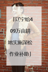 辽宁给409万亩耕地实施深松作业补助
