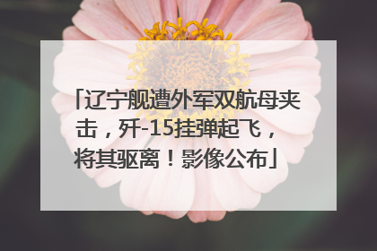 辽宁舰遭外军双航母夹击，歼-15挂弹起飞，将其驱离！影像公布
