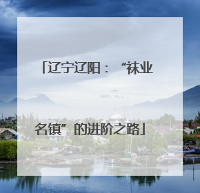 辽宁辽阳：“袜业名镇”的进阶之路